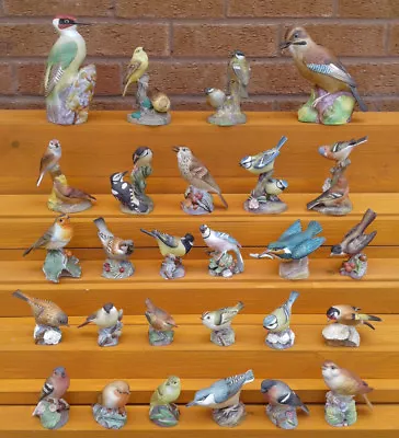 Buy Royal Worcester - Selection Of Fine Bone China Bird Figurines. • 12.99£