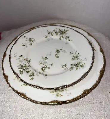 Buy Limoges 8” Luncheon Plate And 9.75” Dinner Schleiger Theodore Haviland France • 15.60£