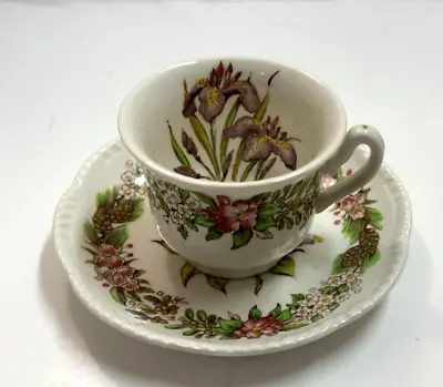 Buy  Ridgways Cup & Saucer Tea Set American State Flower Iris Lila England  • 19.21£