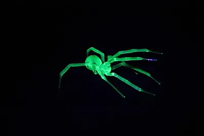 Buy Uranium Glass Spider Uranium Vaseline Glass Figurine Spider Glass UV Spider • 143.73£