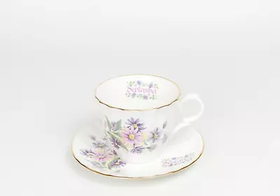 Buy Royal Grafton Flower Of The Month September China Cup & Saucer Vintage • 13.99£