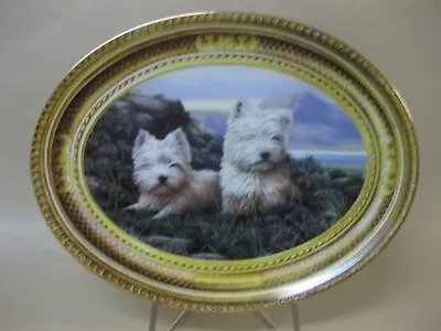 Buy West Highland White Terrier Fine Porcelain Plate ~ Franklin Mint ~In The Heather • 8.99£