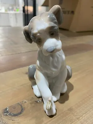 Buy Lladro New Friend Dog Figurine #6211 - Excellent Condition • 20£