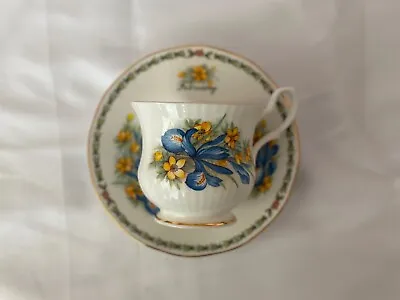 Buy CUP & SAUCER SET Queen's Fine Bone China 1875 Birthday Flower Of Month February  • 11.34£