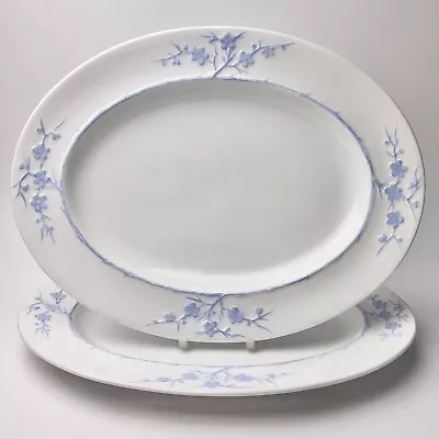 Buy 2 X Spode Copeland China “Blanche De China” 785542 Oval Serving Dishes Plates  • 30£