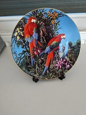 Buy Macaw Wedgewood Plate  Green-winged Macaws  Fragile Paradise   Limited Edition • 16.99£