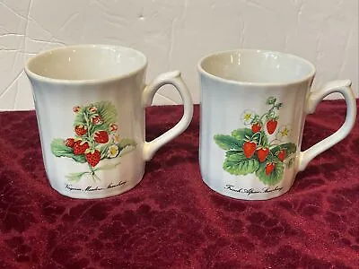 Buy Set Of 2 Strawberry Coffee Cup - Virginia Meadow / French Alpine Made In JAPAN • 23.67£