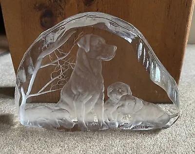 Buy Capredoni Dartington Crystal Labrador Retriever & Pups Glass Paperweight • 14.99£