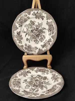 Buy 2 Royal Stafford Asiatic Pheasant Charcoal Gray Dinner Plates Vintage • 31.92£