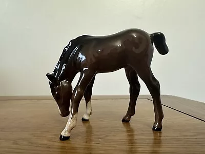 Buy Royal Doulton Foal With Head Down Gloss Brown • 14.99£