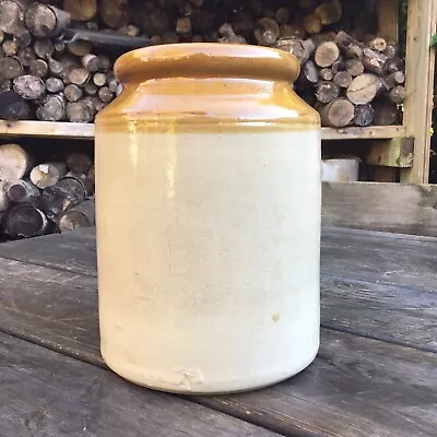 Buy Old Vintage Stoneware Large Storage Jar Utensil Pot Artist Brush Holder 7.75” • 20£