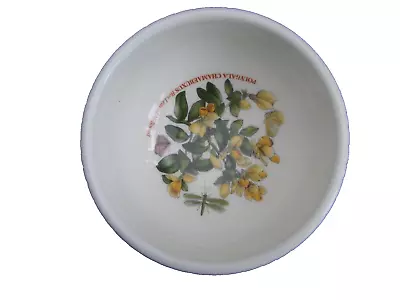 Buy Small Bowl From Portmeirion Botanic Garden Range  Box-leaved Milkwort  • 2.50£
