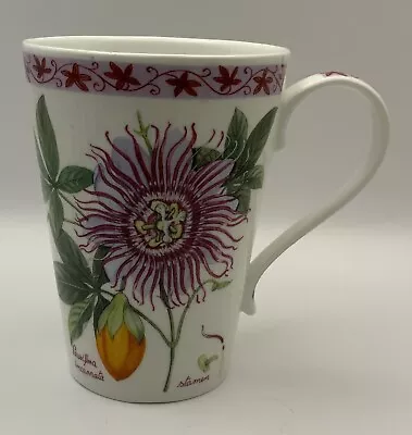 Buy Hudson & Middleton Bone China Floral & Fruit Mug 4 1/8   • 15.90£