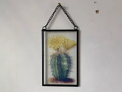 Buy Glass Panel Cacti Plant Wall Hanging Artwork With Metal Frame • 12.99£