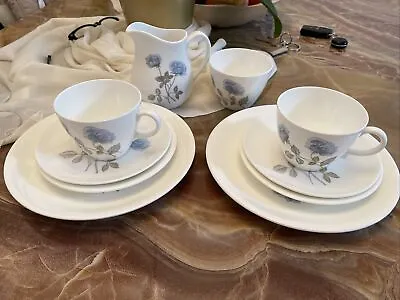 Buy Wedgwood ICE ROSE Bone China Plates Dinner Set Tea Cups • 24.90£