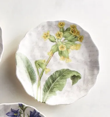 Buy Pier1 Imports Set Of 3 Floral Salad Plates Discontinued Earthenware 9” • 26.95£
