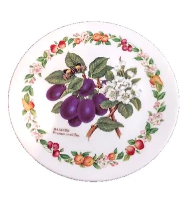 Buy Vintage Royal Worcester Plate   Damson   1996 Orchard Fruits Free UK Postage • 10£