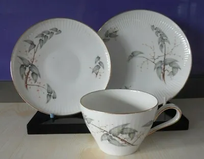 Buy Vintage Thomas Porcelain, Germany - TRIO - QUINCE PATTERN.  In Good Condition • 4£