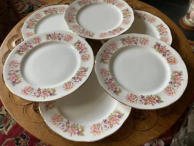 Buy Vintage Colclough Set 6 Wayside Dinner Plates, 10.5  Diameter. • 35£