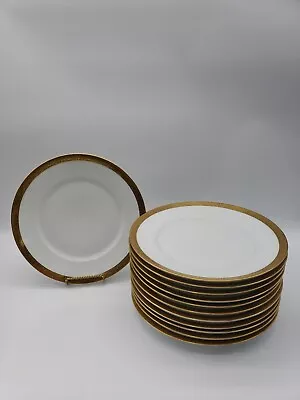 Buy 12 Thomas Bavaria Dinner Plates 9¾'' Gold Encrusted Band Trim Germany • 125.46£