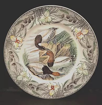 Buy The Birds Of America Adams China Canvas Back Duck Dinner Decorative Plate • 47.44£