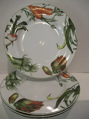 Buy Rare Noritake Impromptu Porcelain Homegrown 4 Dinner Plates Retired Pattern • 56.58£