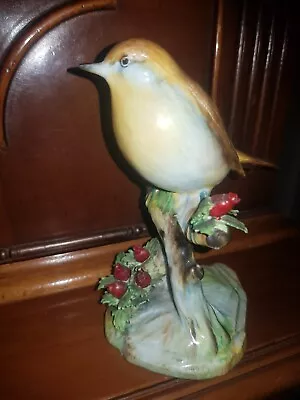 Buy Royal Adderley Bird • 4£