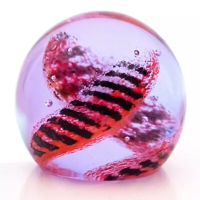 Buy Caithness Paperweight Art Glass Pink Spinnaker Featuring Swirling Striped Bands • 24£