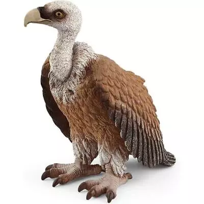 Buy Schleich Wild Life Figure - Vulture • 8.99£
