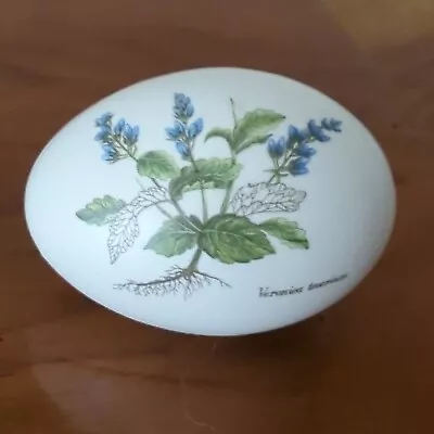 Buy Vintage Poole Pottery Egg Shaped Trinket Pot Blue Speedwell Veronica Teocrium • 7.50£