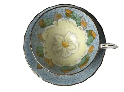 Buy Tuscan Fine English Bone China Tea Cup & Saucer Baby Blue Magnolia • 28.45£