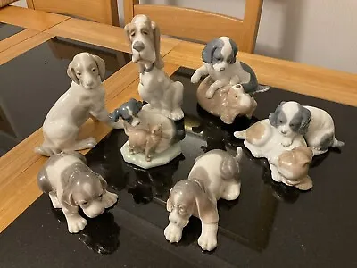 Buy 2 X Lladro + 5 X NAO  Dog Figurines Job Lot Collection All Perfect Condition • 125£