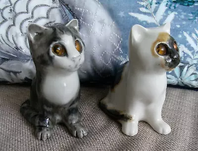 Buy Two Winstanley Cats Kittens Amber Glass Eyes Size 1 (4.5 ) • 29.99£
