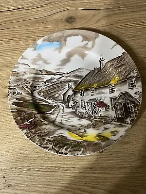 Buy Vintage Quiet Day By W.H. Grindley Staffordshire 9” /23cm Plate • 1.50£