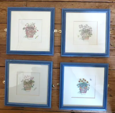 Buy Sarah's Garden Wedgewood X4 Set Framed Floral Prints 23.5cm Square • 55£
