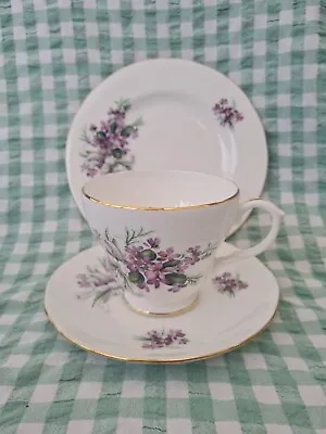 Buy Vintage Duchess Bone China Purple Violets White Bow Teacup Saucer Plate Trio Vgc • 7.99£