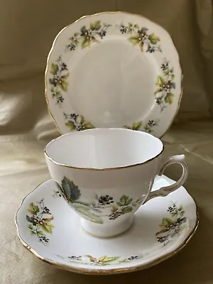 Buy Vintage Royal Vale Bone China Tea Trio (Teacup, Saucer & Side Plate) Pattern8224 • 5.99£