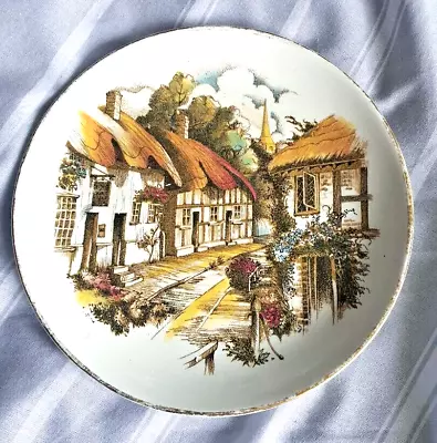 Buy Royal Vale Bone China Decorative Plate 8  Made In England • 0.99£