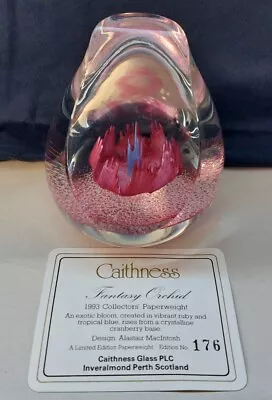 Buy Caithness ‘Fantasy Orchid’ 1993 Collector Paperweight (176) Alastair MacIntosh • 40£