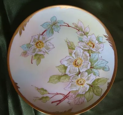 Buy Antique Hand Painted Plate  Pickard Artist  Walters  , Wild Roses, 8 3/4  • 75.88£