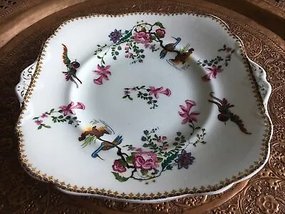 Buy  Paragon Star China Sandwich Plate Exotic Birds & Flowers Pattern Rare • 20£