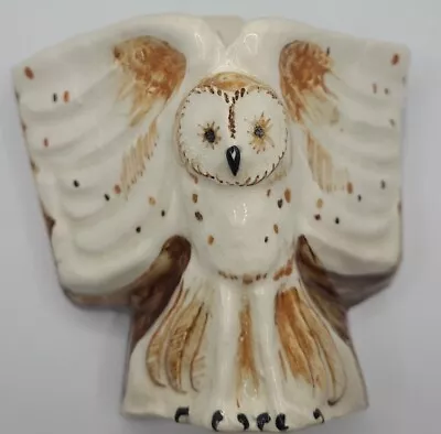 Buy Owl Ceramic Wall Pocket Wall Hanging Hand Painted Bryn Melyn Studio Pottery  • 28£