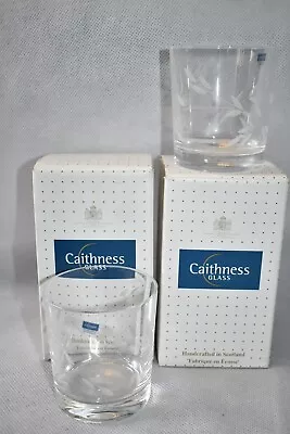 Buy Pair Of Boxed Caithness Crystal Glass Whisky Tumblers Leaf Etched - New • 17.50£