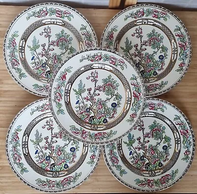 Buy Alfred Meakin England Plates Bengal Tree Medina Antique 5 Piece 8.5  Handpainted • 35£