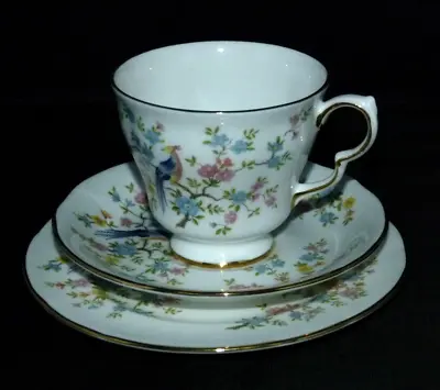 Buy Queen Anne Bone China TRIO Set Teacup Saucer & Side Plate ENCHANTED Garden • 12.99£