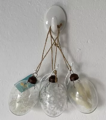 Buy Set Of Three Different Dried Flower Glass Egg Hanging Ornaments - NEW. • 18.99£