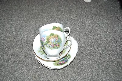 Buy Vintage Royal Vale Country Cottage Bone China Tea Trio Set Cup Saucer Plate  X 2 • 8.95£