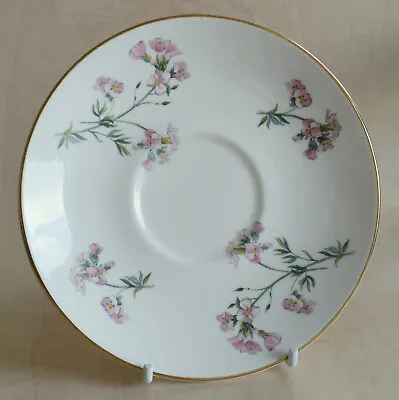 Buy Royal Grafton Made In England Saucer Bone China Floral Stems Small Pink Flowers • 4£