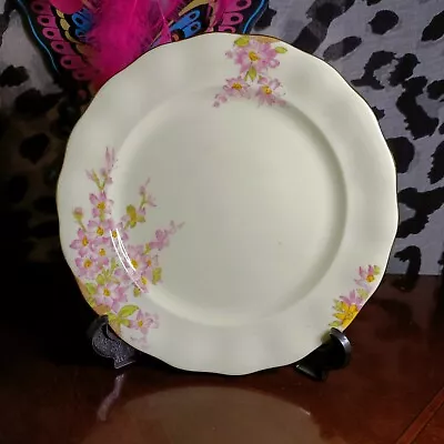 Buy Vintage Bone China Tea Plate- Old Royal 'glorious Devon' Pink Floral 7inch/18cm • 6.99£