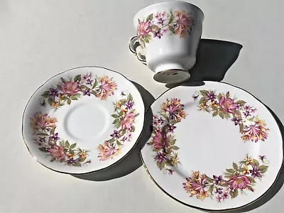 Buy Vintage Colclough Bone China  Wayside Honeysuckle Pattern  Trio Cup Saucer Plate • 5£